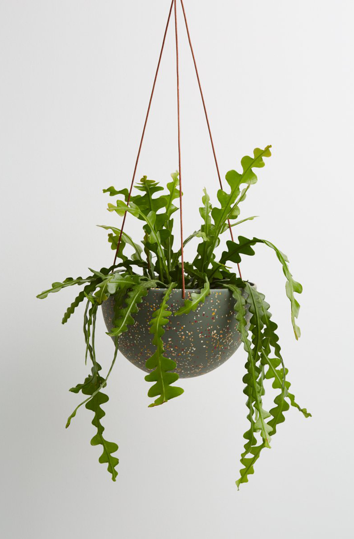 Terrazzo Dome Hanging Pot - Agave